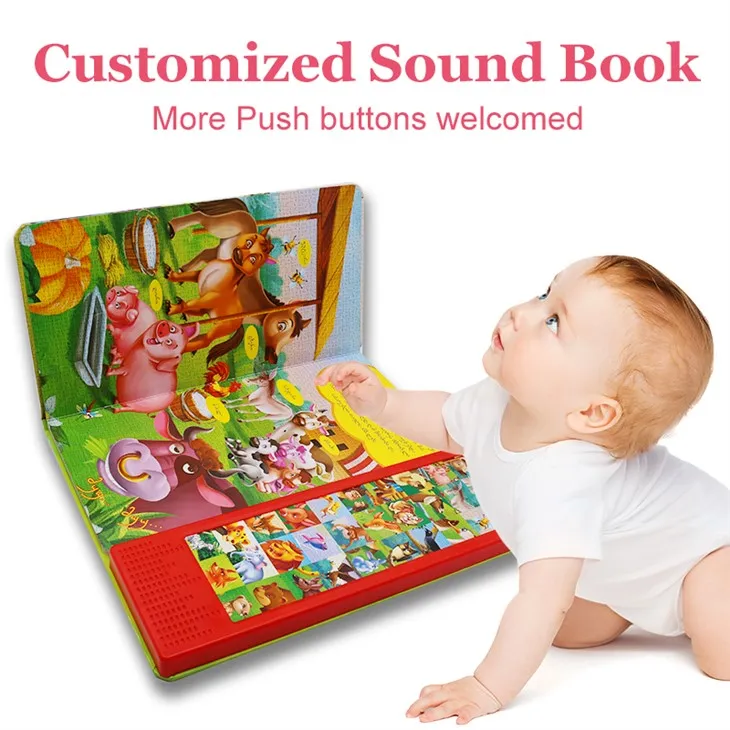 Professional Bilingual Sound Book